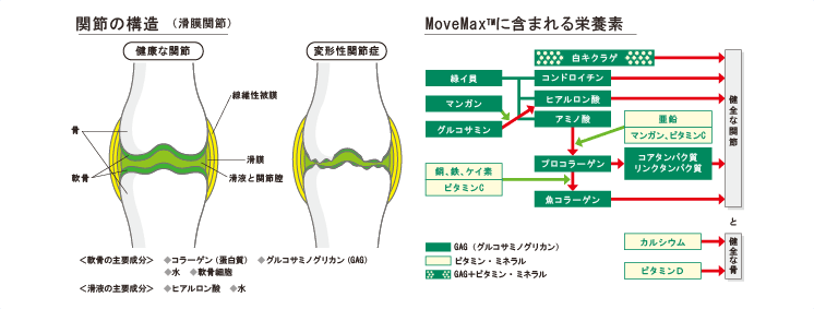 ムーブマックスⅢ 120粒×6本